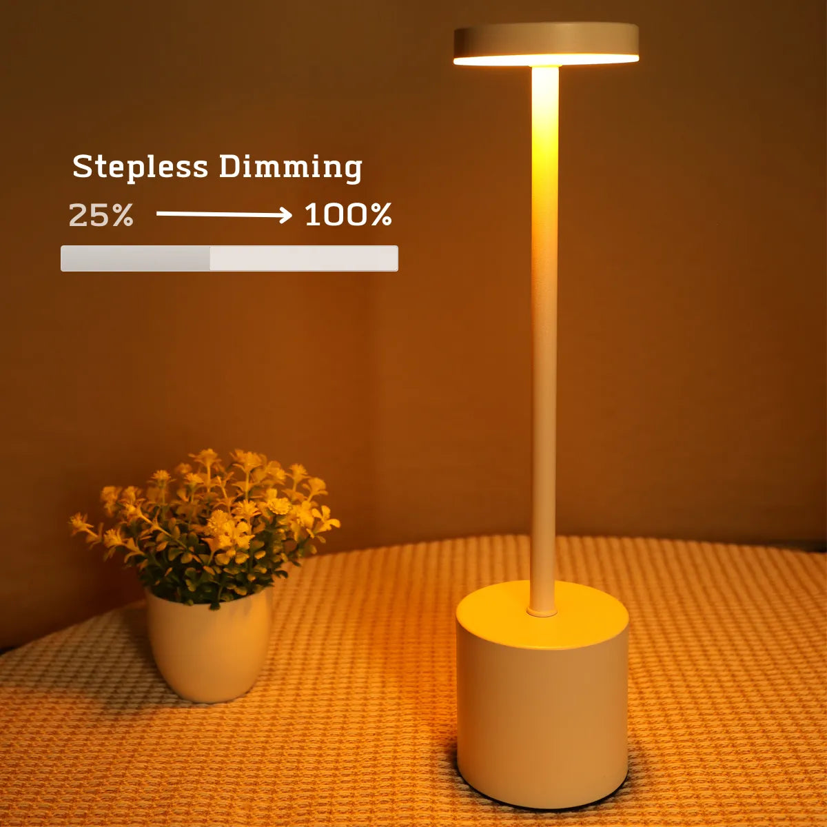 Simple LED Touch Metal Table Lamp