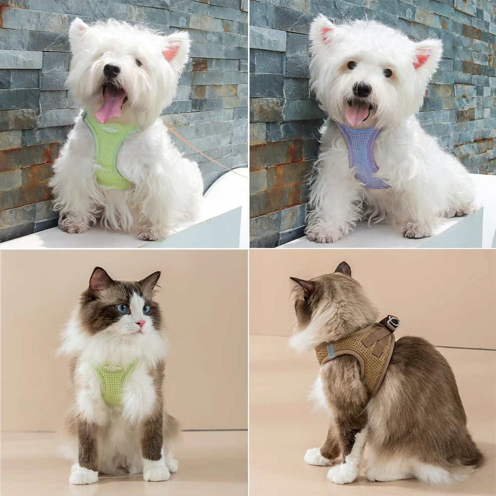 Puppy Cat Harness with Leash Breathable Waffle