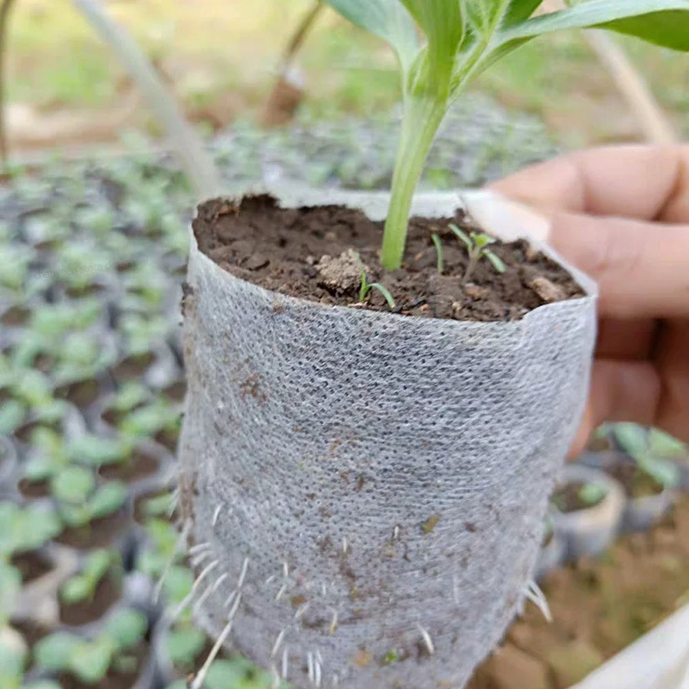 200 or 500PCS Biodegradable Nursery Bag Plant