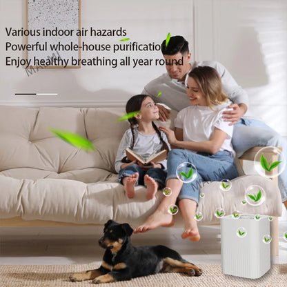 Air Purifiers