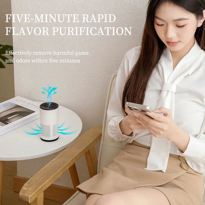 Anion Aromatherapy Air Purifier