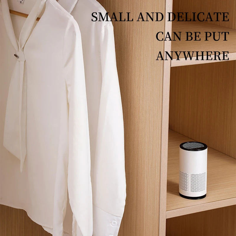 Anion Aromatherapy Air Purifier