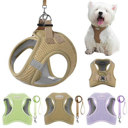 Puppy Cat Harness with Leash Breathable Waffle