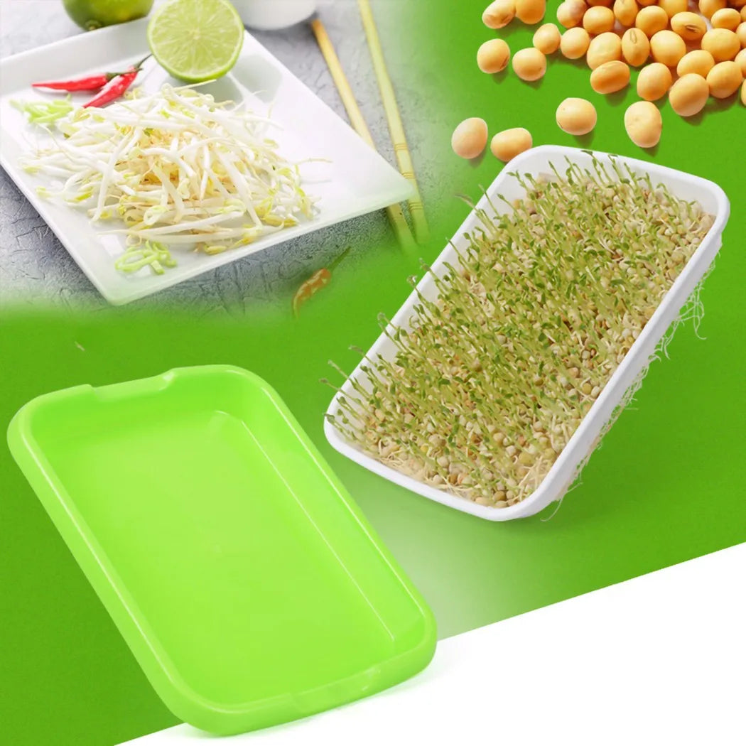 Microgreens Sprouter Tray Hydroponic