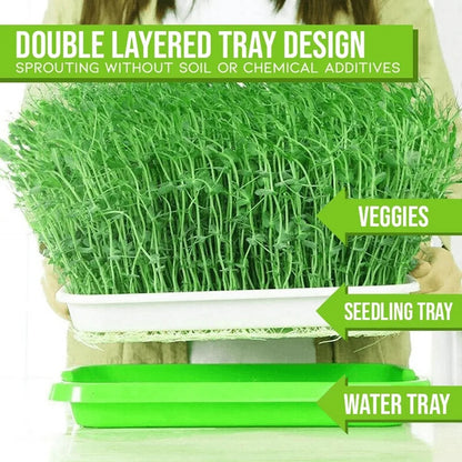 Microgreens Sprouter Tray Hydroponic