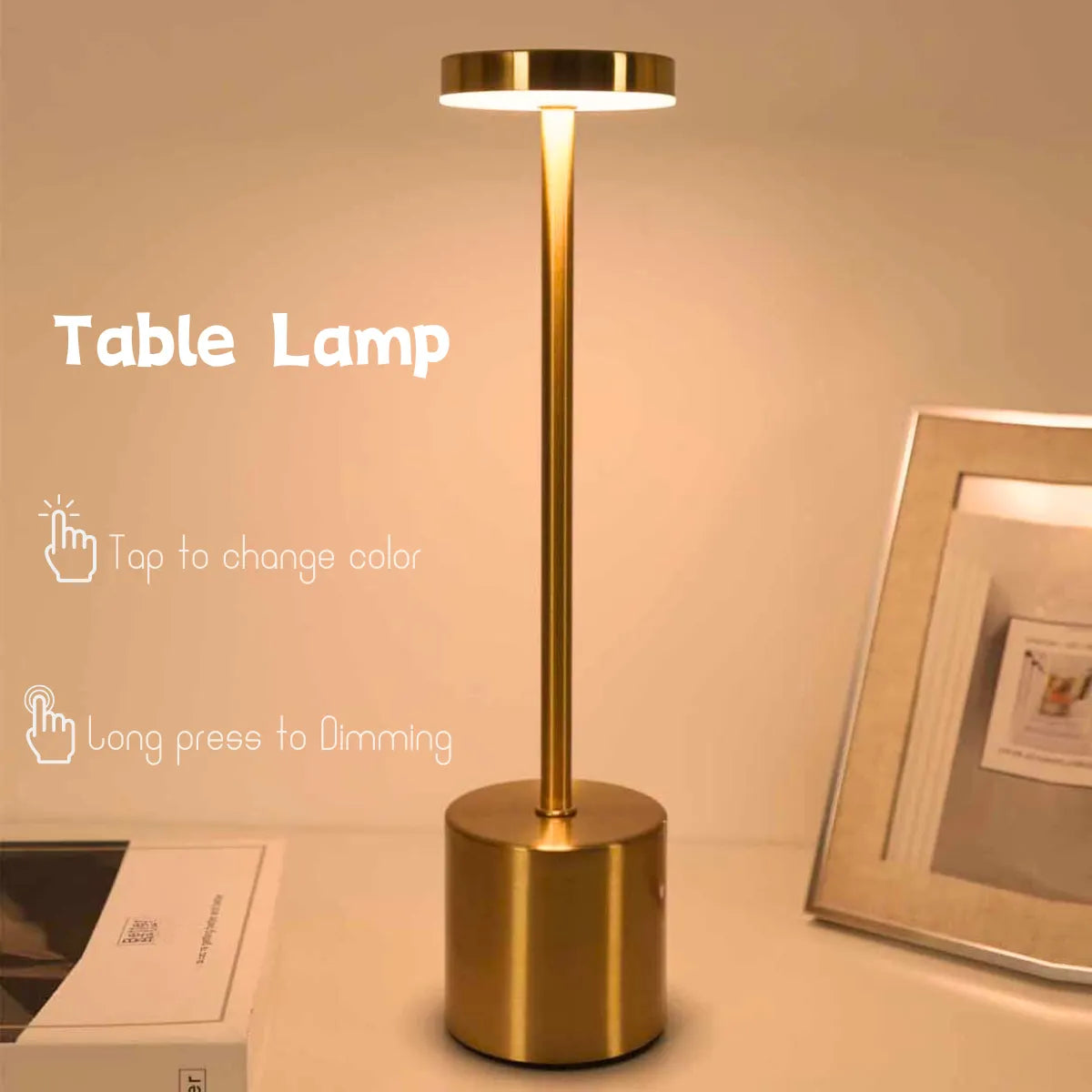 Simple LED Touch Metal Table Lamp